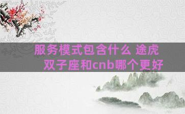 服务模式包含什么 途虎双子座和cnb哪个更好